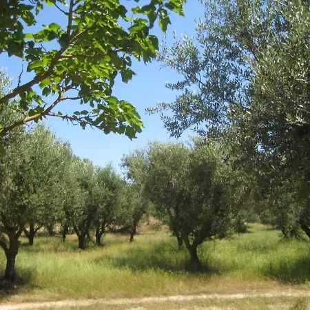 Olive House * Kalamákion