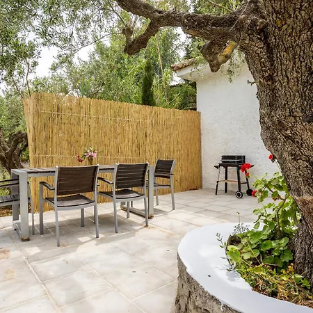 Casa de Férias Olive House