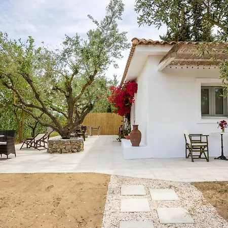 Olive House Holiday home *
